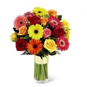 Gerbera Daisies - Flower Types - Flowers
